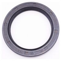 Oil seal