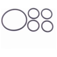 Seal kit hydr.