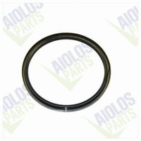 O-RING 17,8X2,4