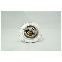 Θερμοστάτης Nissan