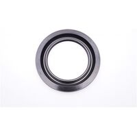 Oil seal